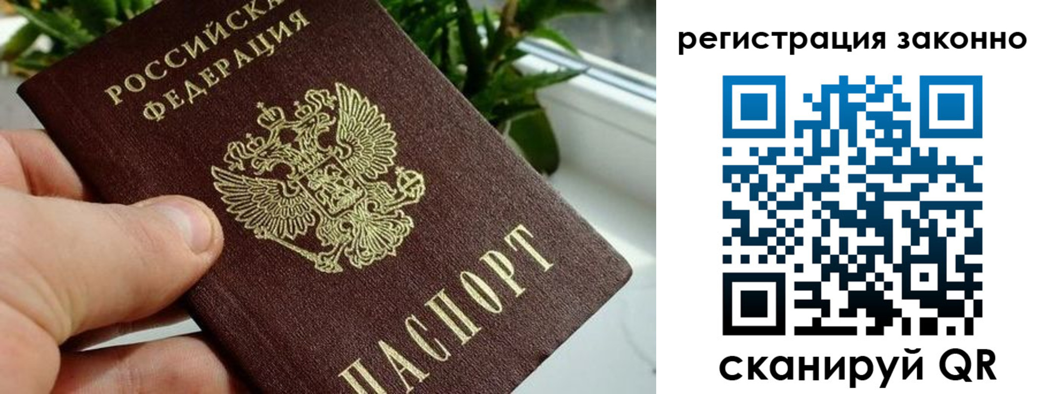 прописка гарантия в Льгове